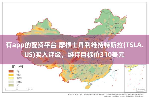 有app的配资平台 摩根士丹利维持特斯拉(TSLA.US)买入评级，维持目标价310美元