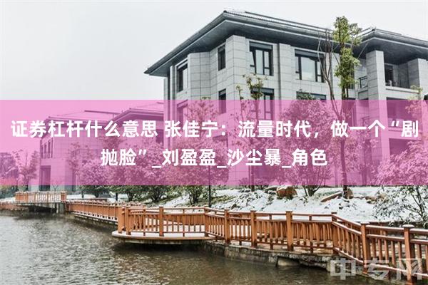 证券杠杆什么意思 张佳宁：流量时代，做一个“剧抛脸”_刘盈盈