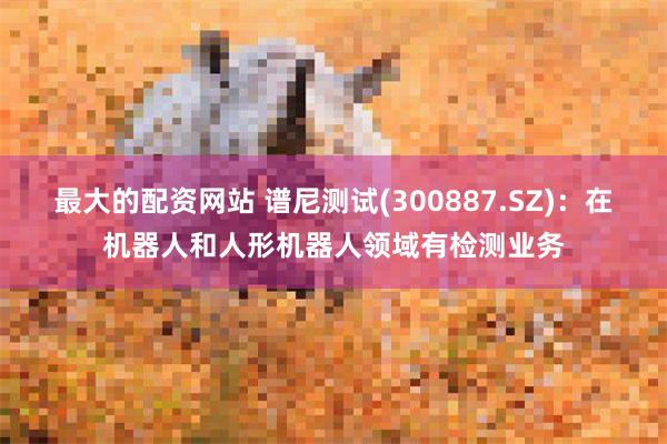 最大的配资网站 谱尼测试(300887.SZ)：在机器人和人