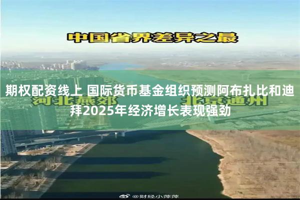 期权配资线上 国际货币基金组织预测阿布扎比和迪拜2025年经
