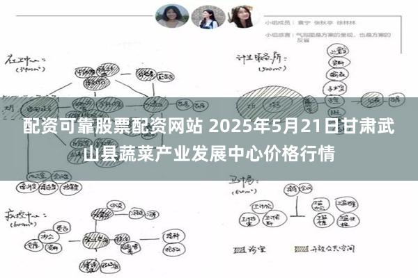 配资可靠股票配资网站 2025年5月21日甘肃武山县蔬菜产业