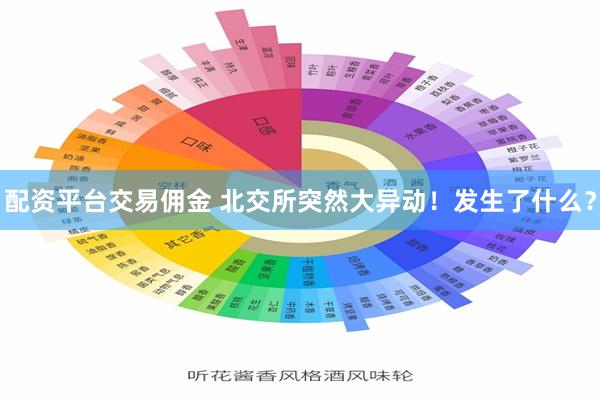 配资平台交易佣金 北交所突然大异动！发生了什么？