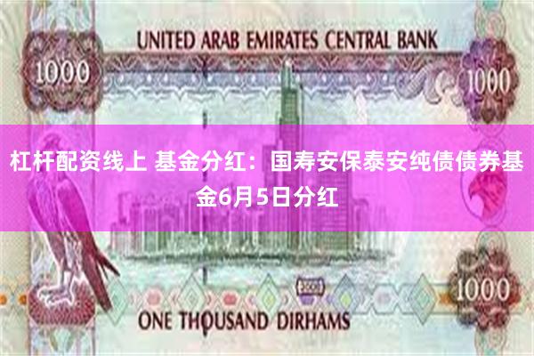 杠杆配资线上 基金分红：国寿安保泰安纯债债券基金6月5日分红