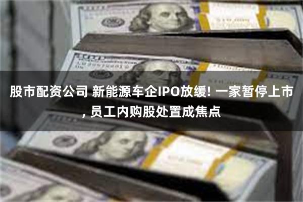 股市配资公司 新能源车企IPO放缓! 一家暂停上市, 员工内