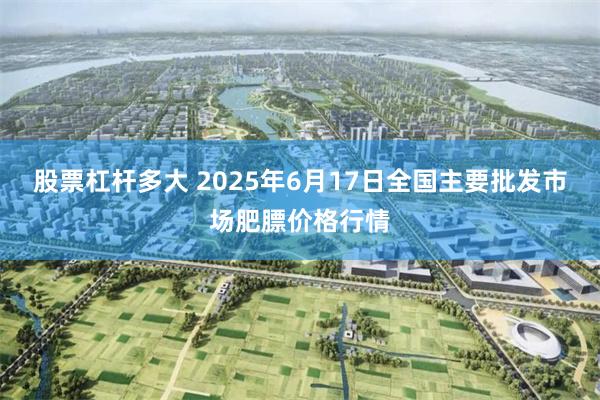 股票杠杆多大 2025年6月17日全国主要批发市场肥膘价格行