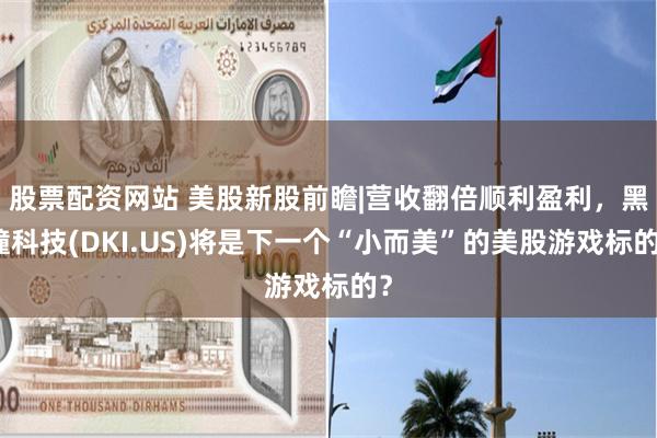 股票配资网站 美股新股前瞻|营收翻倍顺利盈利，黑瞳科技(DK