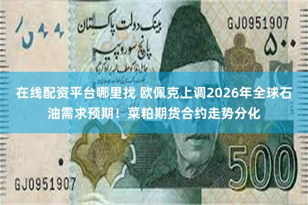 在线配资平台哪里找 欧佩克上调2026年全球石油需求预期！菜