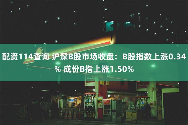 配资114查询 沪深B股市场收盘：B股指数上涨0.34% 成